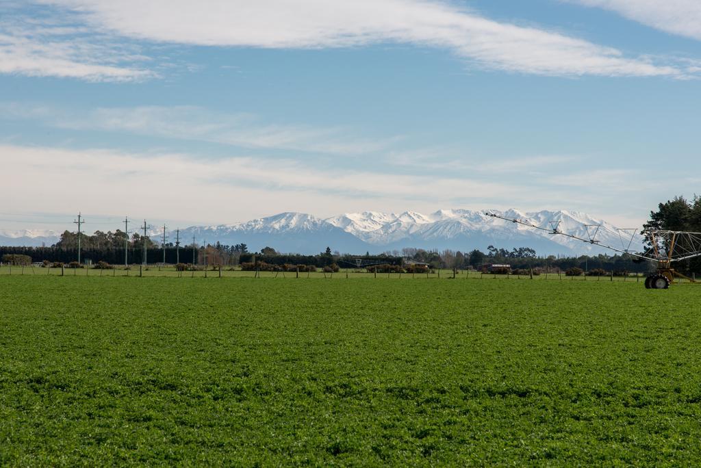 Riverfields Ashburton Kültér fotó